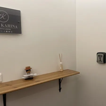 Guest house Casa Karina *